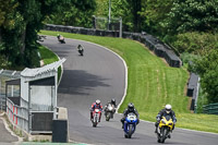 Middle Group Yellow Bikes